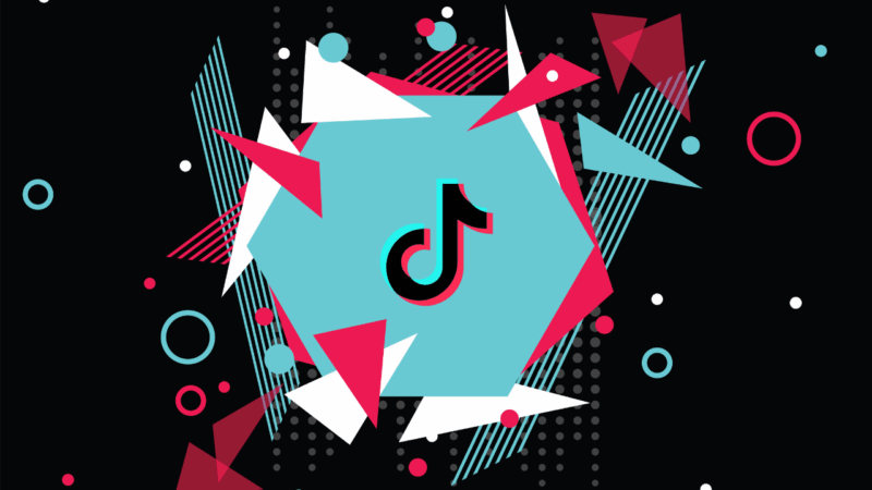 Graphic illustration explaining how the TikTok algorithm increases video views through a behind-the-scenes look at user interaction and reach metrics.