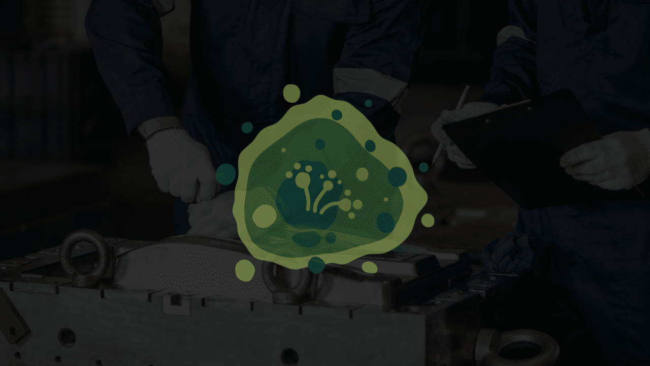 How Much Does Mold Testing Cost — And When Is It Actually Worth the Money?